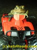/home//u458753944/public_html/sourcegallery///////////////////////Roxborough Toad Detour/2013-2019/2017/P3250662.JPG